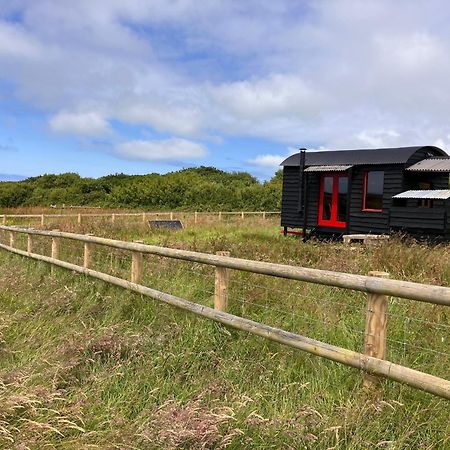 Shepherds Hut In A Private Meadow With Sea Views Hartland Ngoại thất bức ảnh