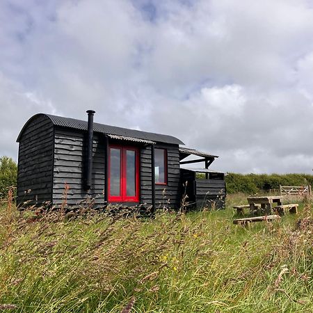 Shepherds Hut In A Private Meadow With Sea Views Hartland Ngoại thất bức ảnh