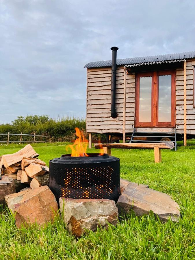 Shepherds Hut In A Private Meadow With Sea Views Hartland Ngoại thất bức ảnh