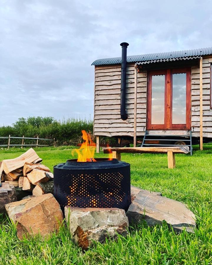Shepherds Hut In A Private Meadow With Sea Views Hartland Ngoại thất bức ảnh